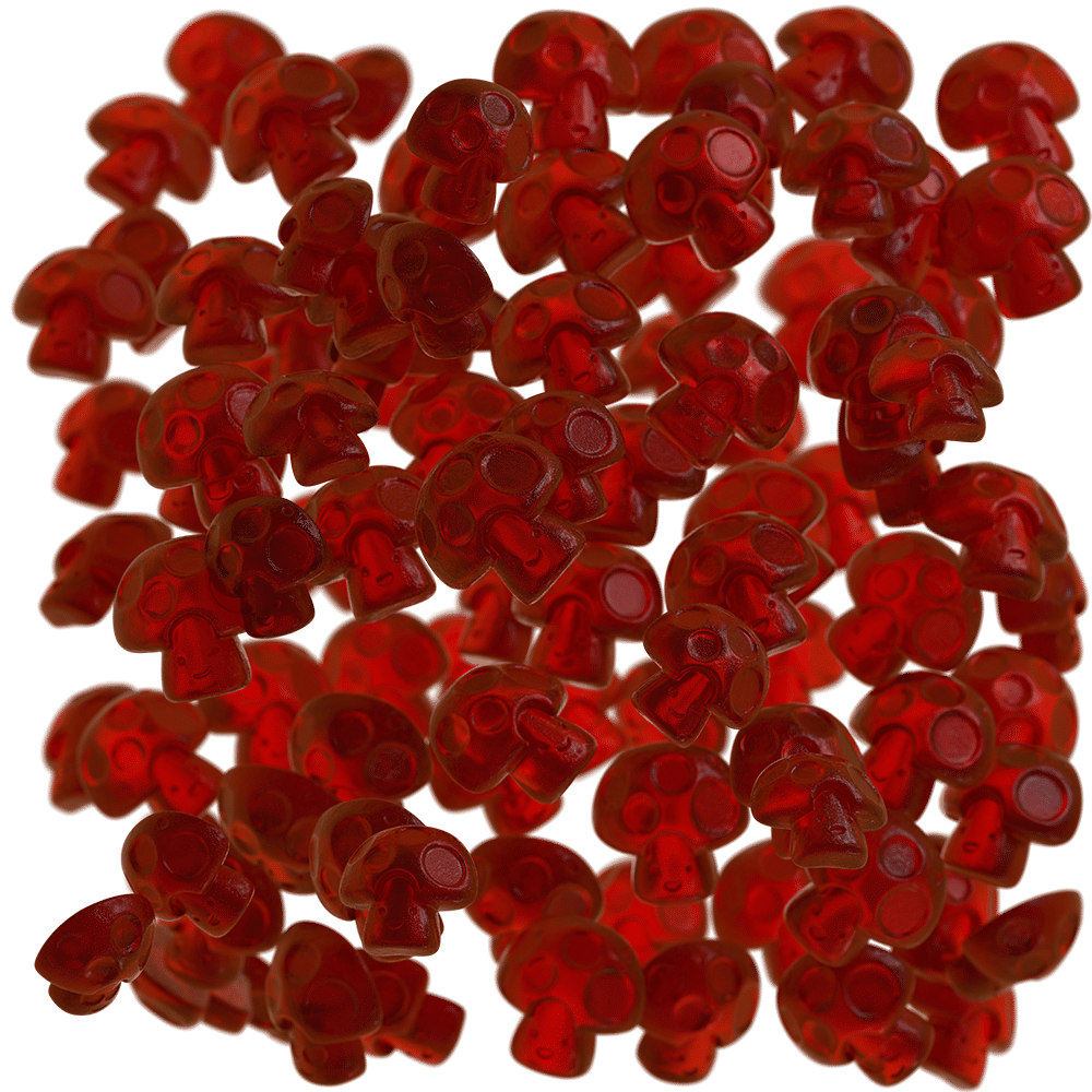 PNG_WHITE_BG0001_DOF-sm