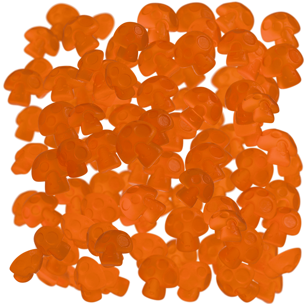 PNG_WHITE_BG0001_DOF-sm