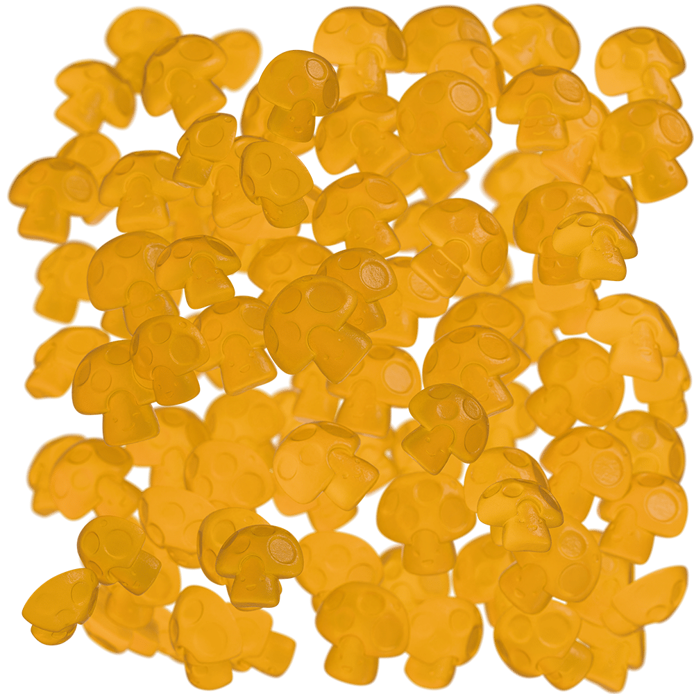 PNG_WHITE_BG0001_DOF-sm